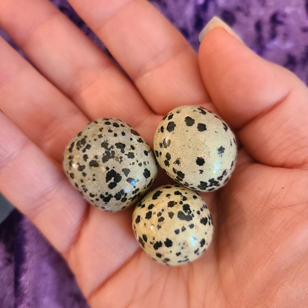 Dalmatian Jasper Tumblestones โ Set of # - Joy, Protection & Balance - Picture 4 of 4